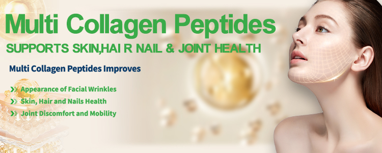 Collagen peptides banner