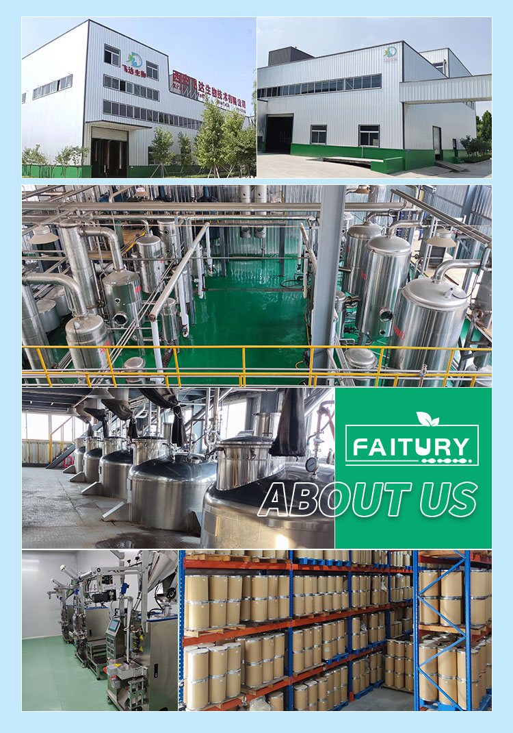 Production Facility