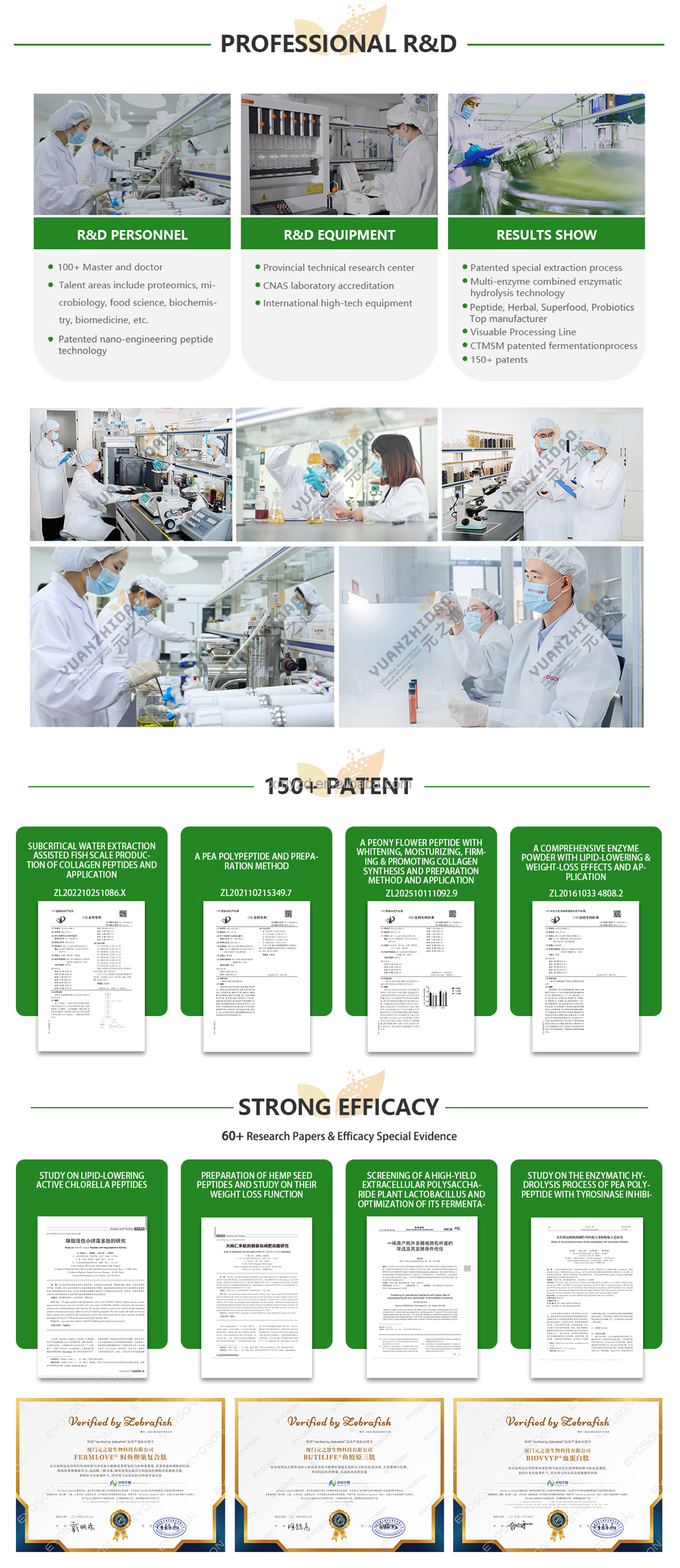 Factory Facility 1