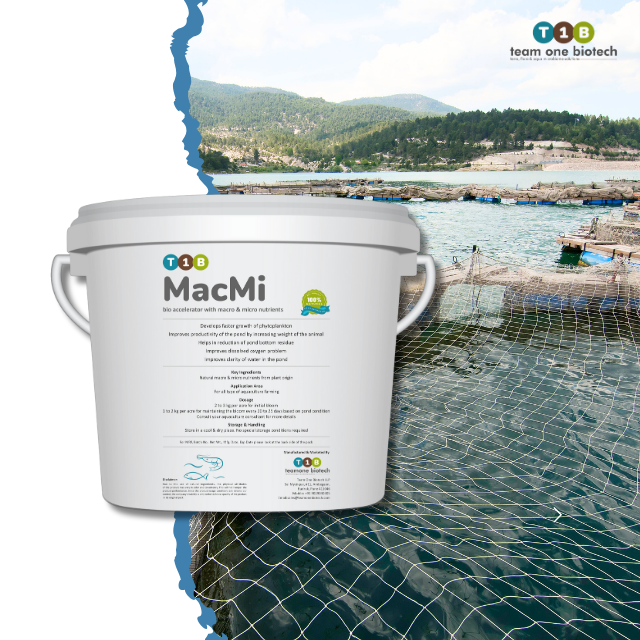Fermentation Derived Marine Aquaculture Additive