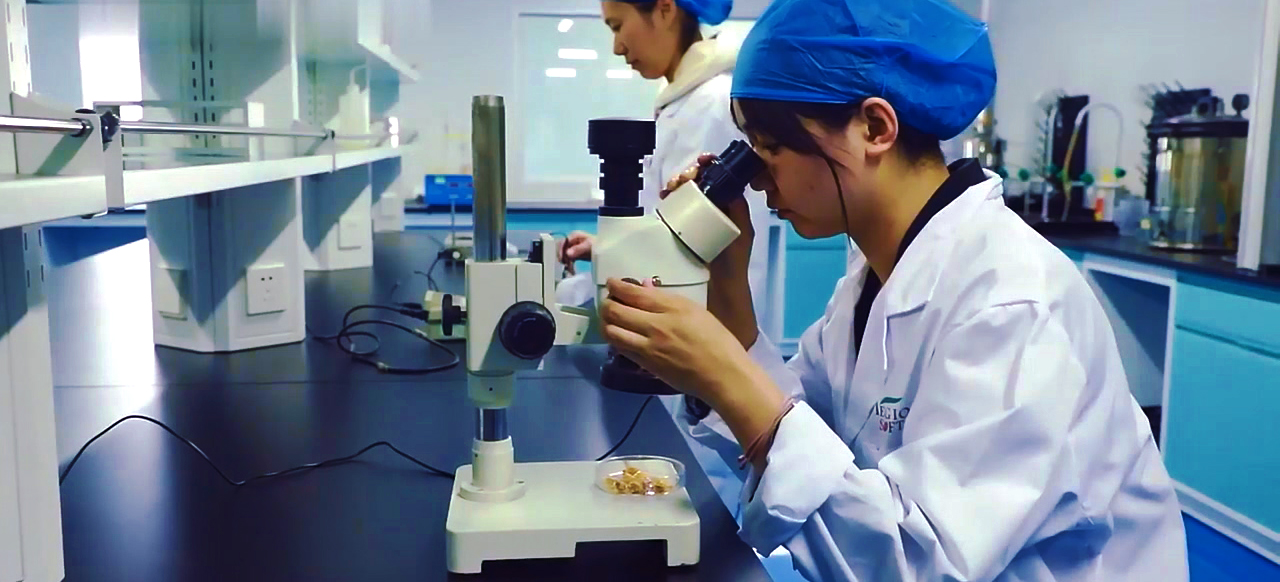 Research Lab 2