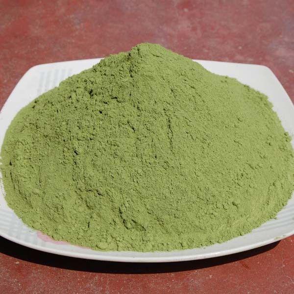 Pure Indigo Wild Herbal Extract Leaf Powder for Hair Color Cosmetic Grade From India