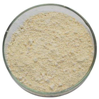 Food Grade Natamycin 95% Preservative HALAL &amp; KOSHER Certified 24 Months Shelf Life