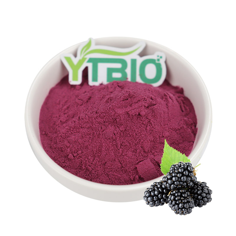 Mulberry Extract Powder for Cosmetics, Skin Care &amp; Functional Food Ingredients