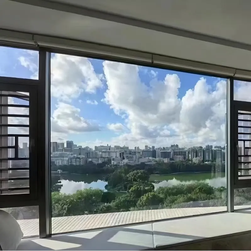 Double Glazed Windows