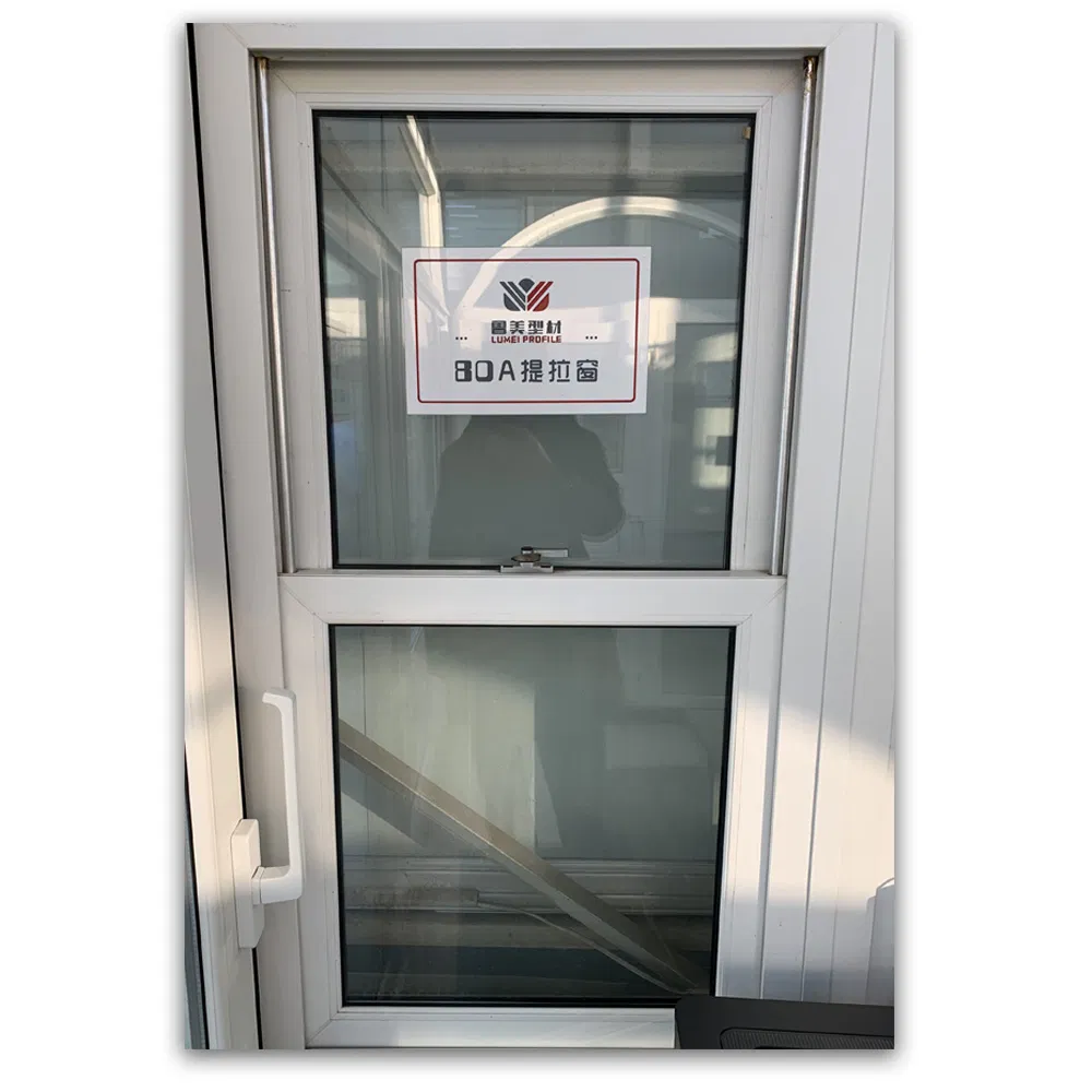 Double Glazing Horizontal Vertical Pivot Window