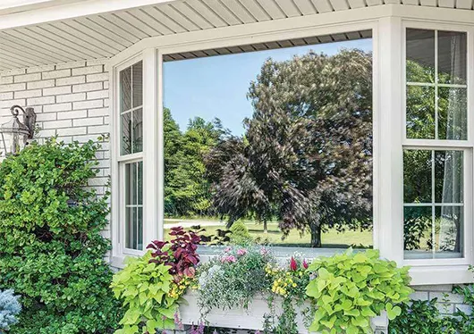 Bay Windows Design
