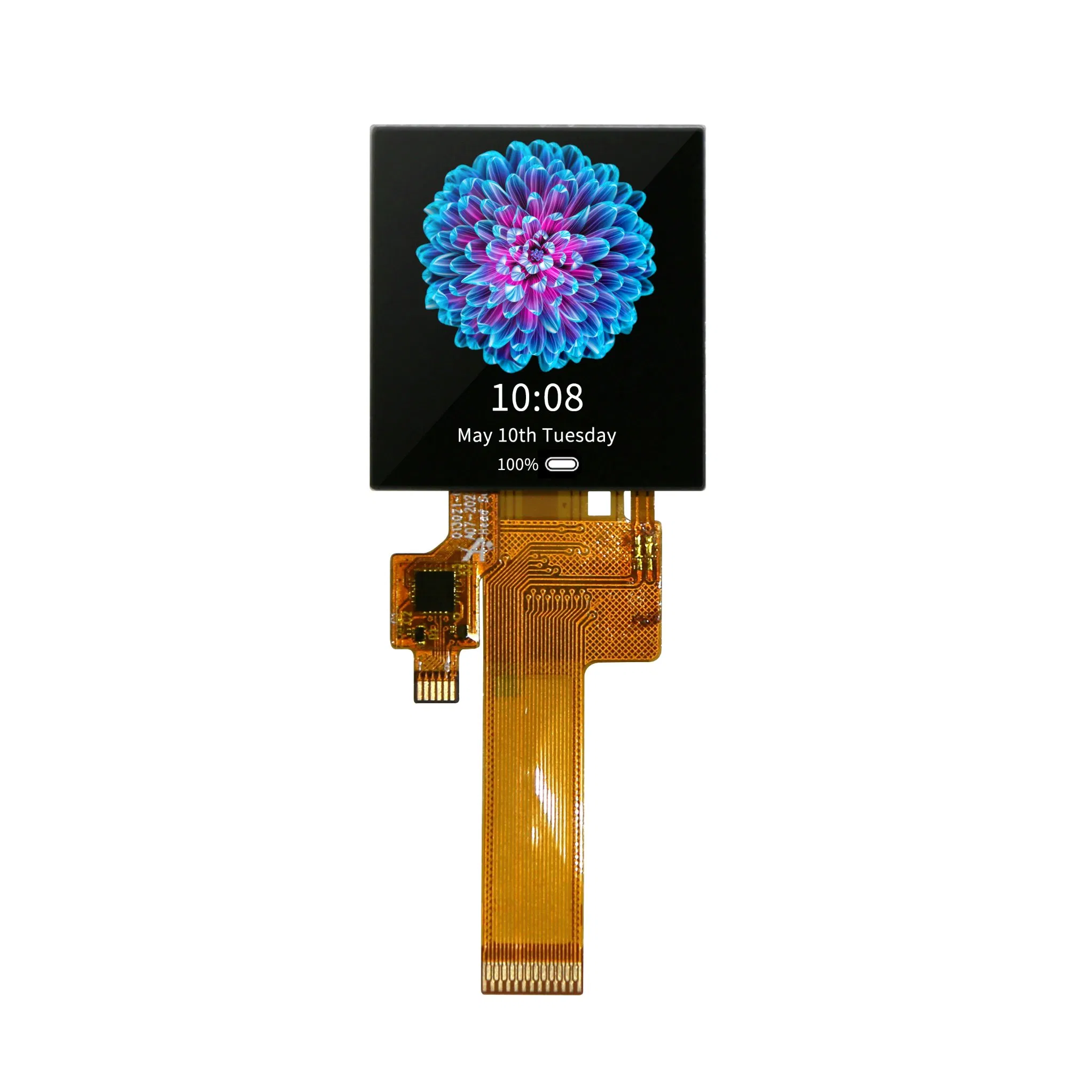 Módulo LCD Direto da Fábrica 1.22inch
