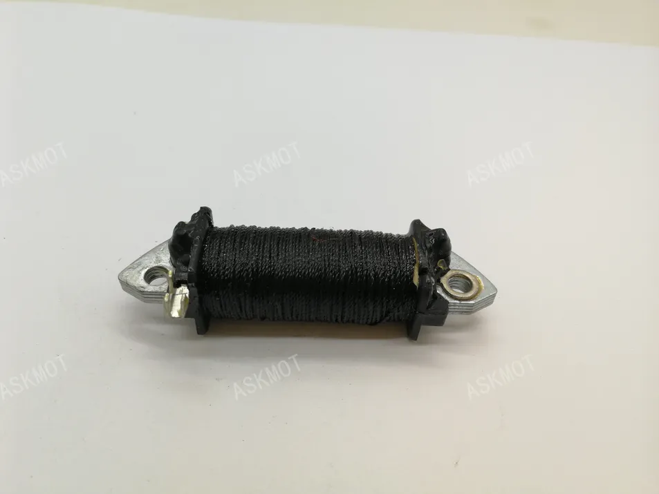Ax100 Conjunto de Bobina de Ignição e Placa Estatora de Motocicleta Peça de Reposição para Motocicleta