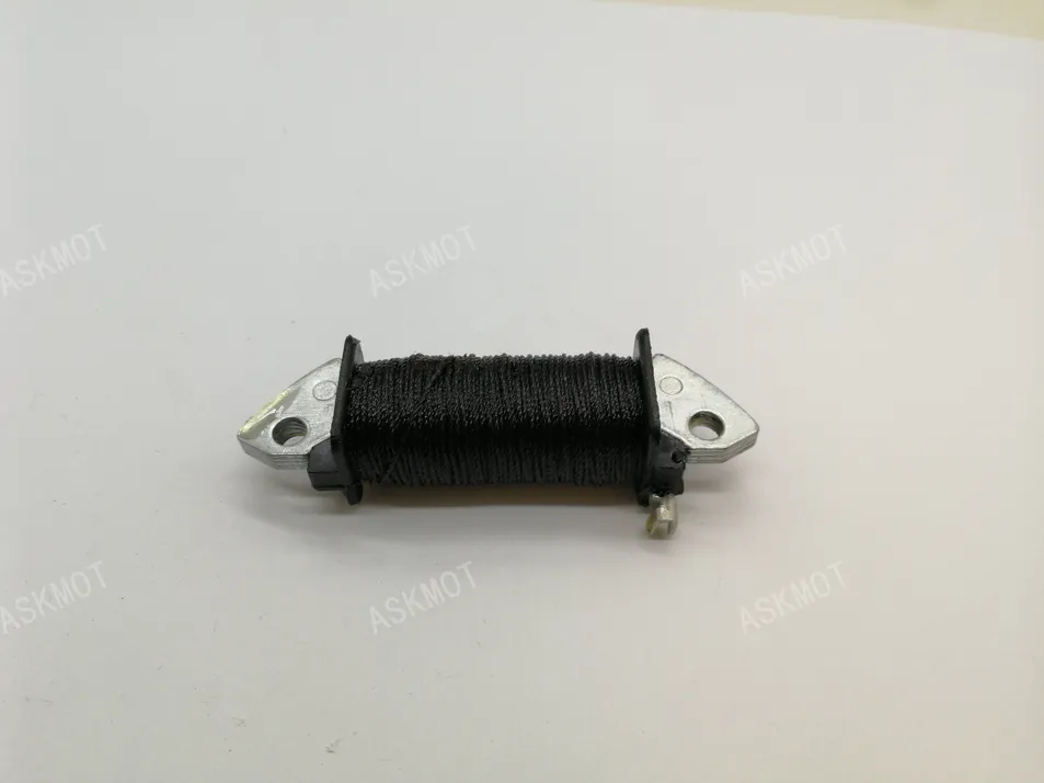 Ax100 Conjunto de Bobina de Ignição e Placa Estatora de Motocicleta Peça de Reposição para Motocicleta