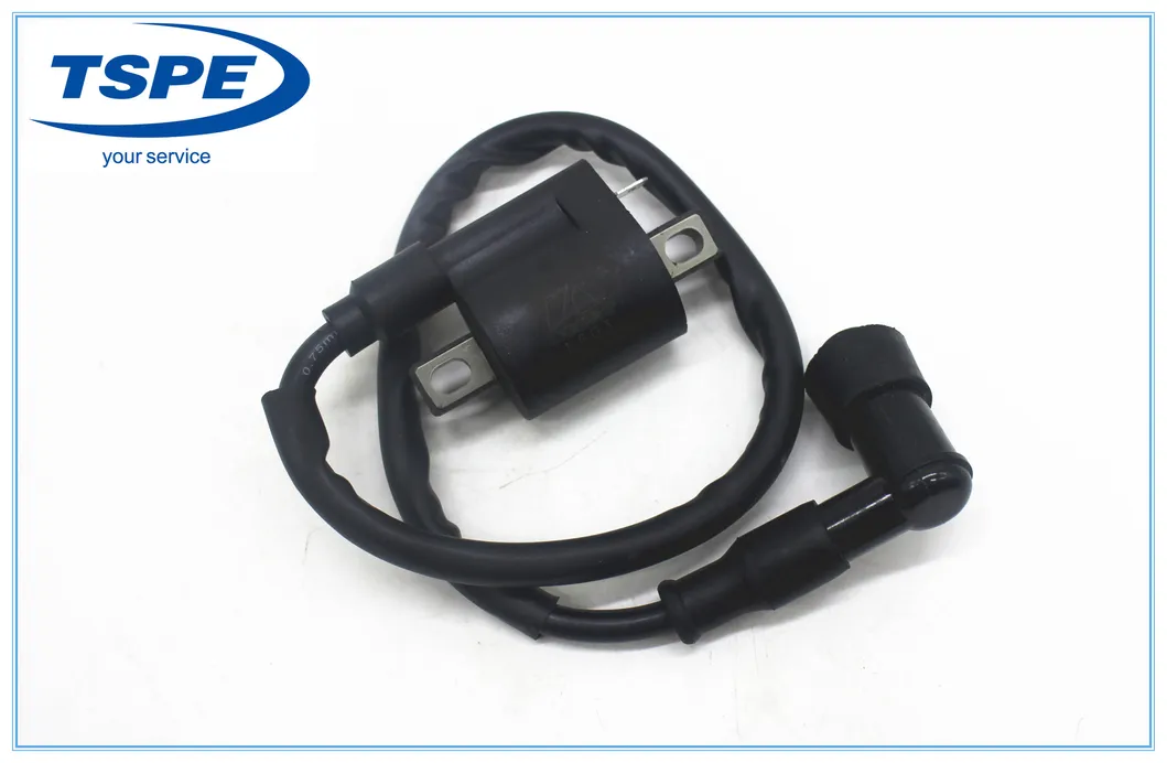 Peças de Motocicleta Bobina de Ignição para Xt-110