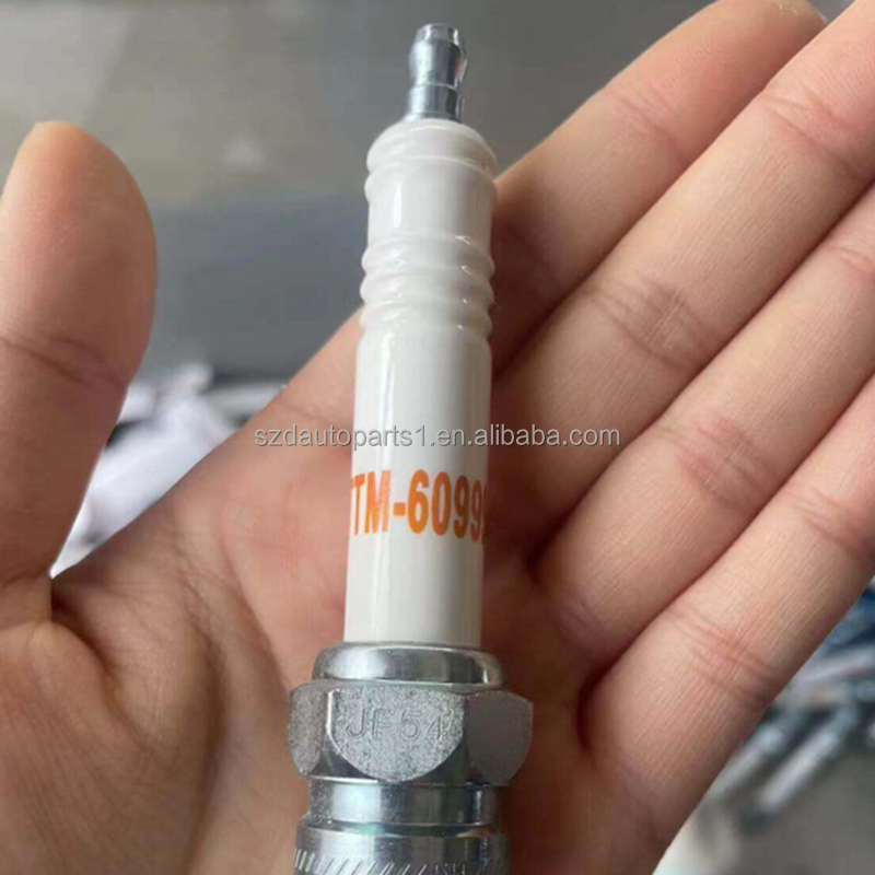 Pluga de Faísca Industrial de Alta Qualidade Rb77cc Ttm-60999z para Gerador da Série Cater Pillar 3500