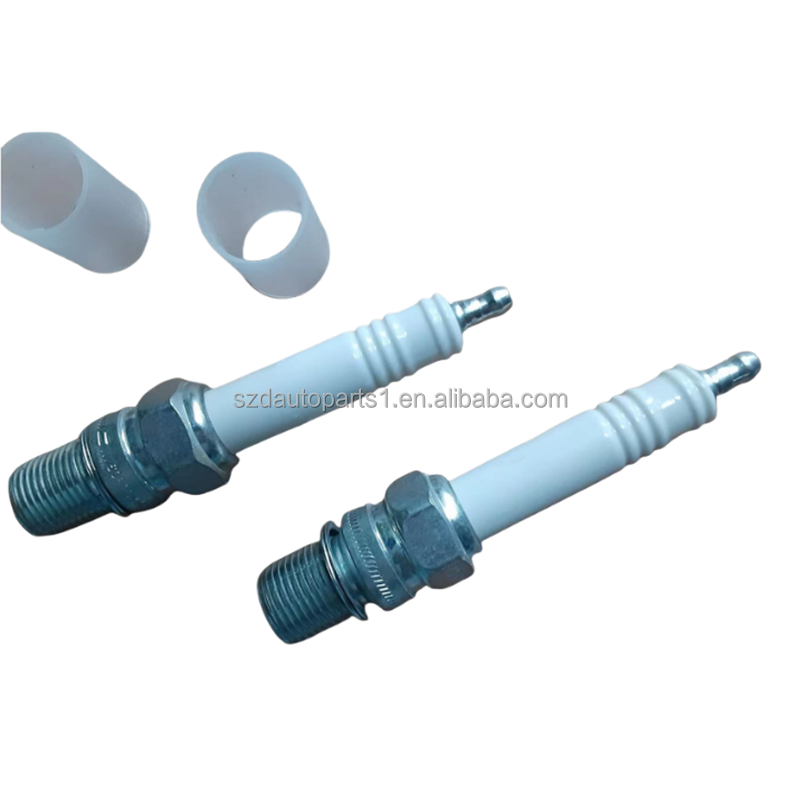 Pluga de Faísca Industrial de Alta Qualidade Rb77cc Ttm-60999z para Gerador da Série Cater Pillar 3500
