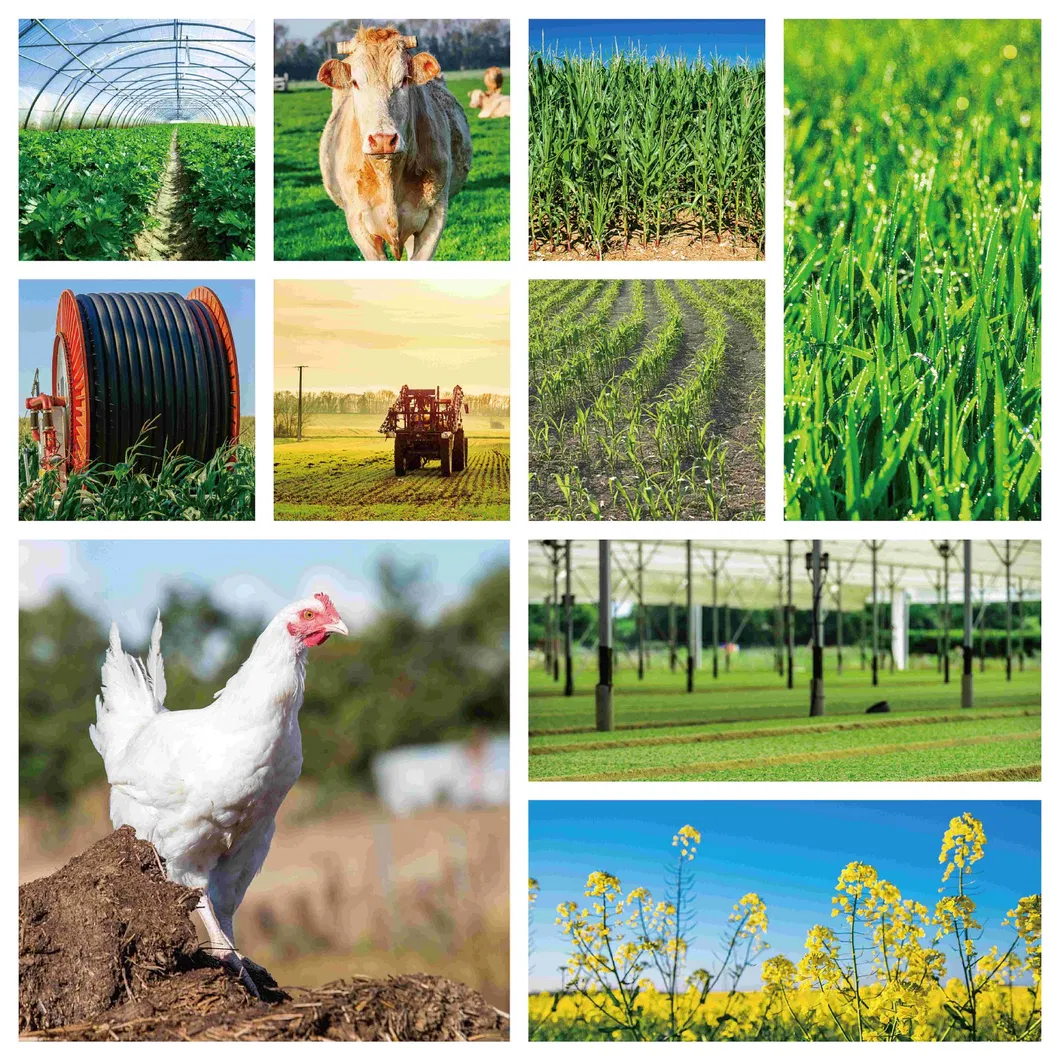 Aplicações agrícolas