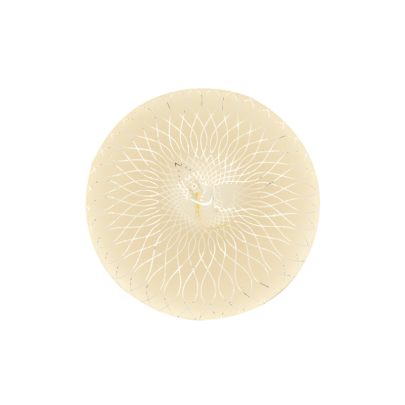 LED Dimmable Indoor Bedroom Balcony Porch Toilet Ceiling Lamp