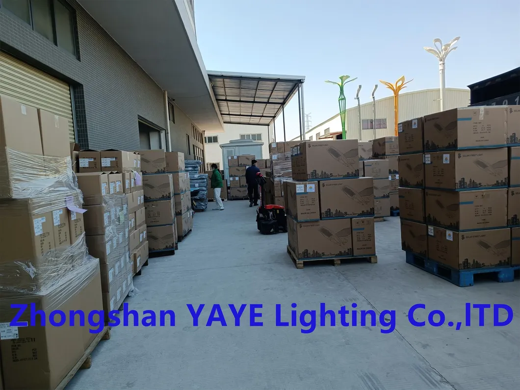 Solar Street Light 24