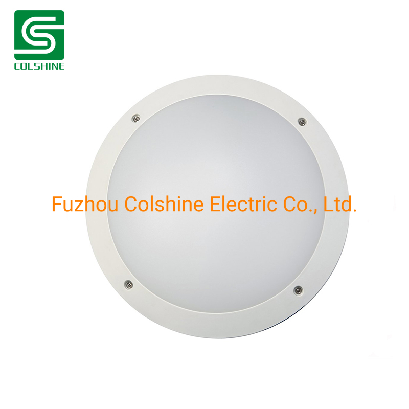 Outdoor Ceiling Wall Mounted Lighting LED Bulkhead Lamp