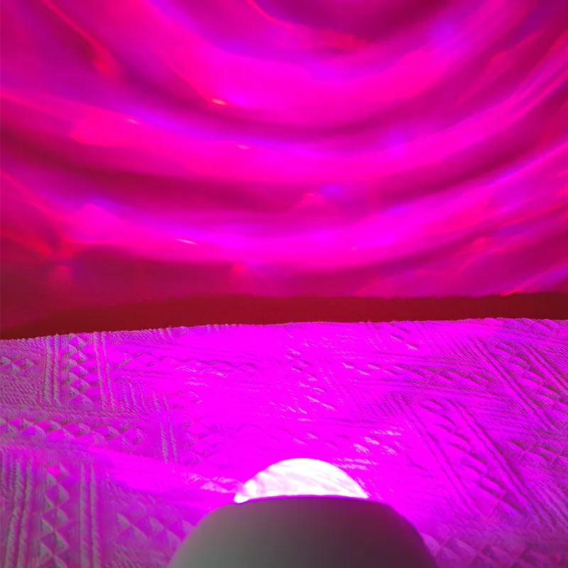 Projector Lamp Detail 2