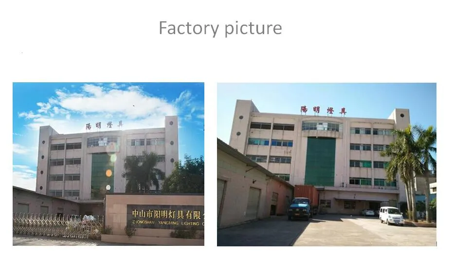 Glass Shade Pendant Lamp