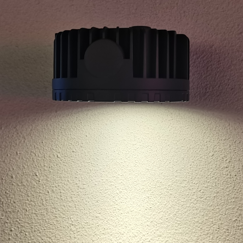 Wholesale Exterior Wall Lamp Outdoor Lamp Waterproof 2700K 36W Aluminum Round