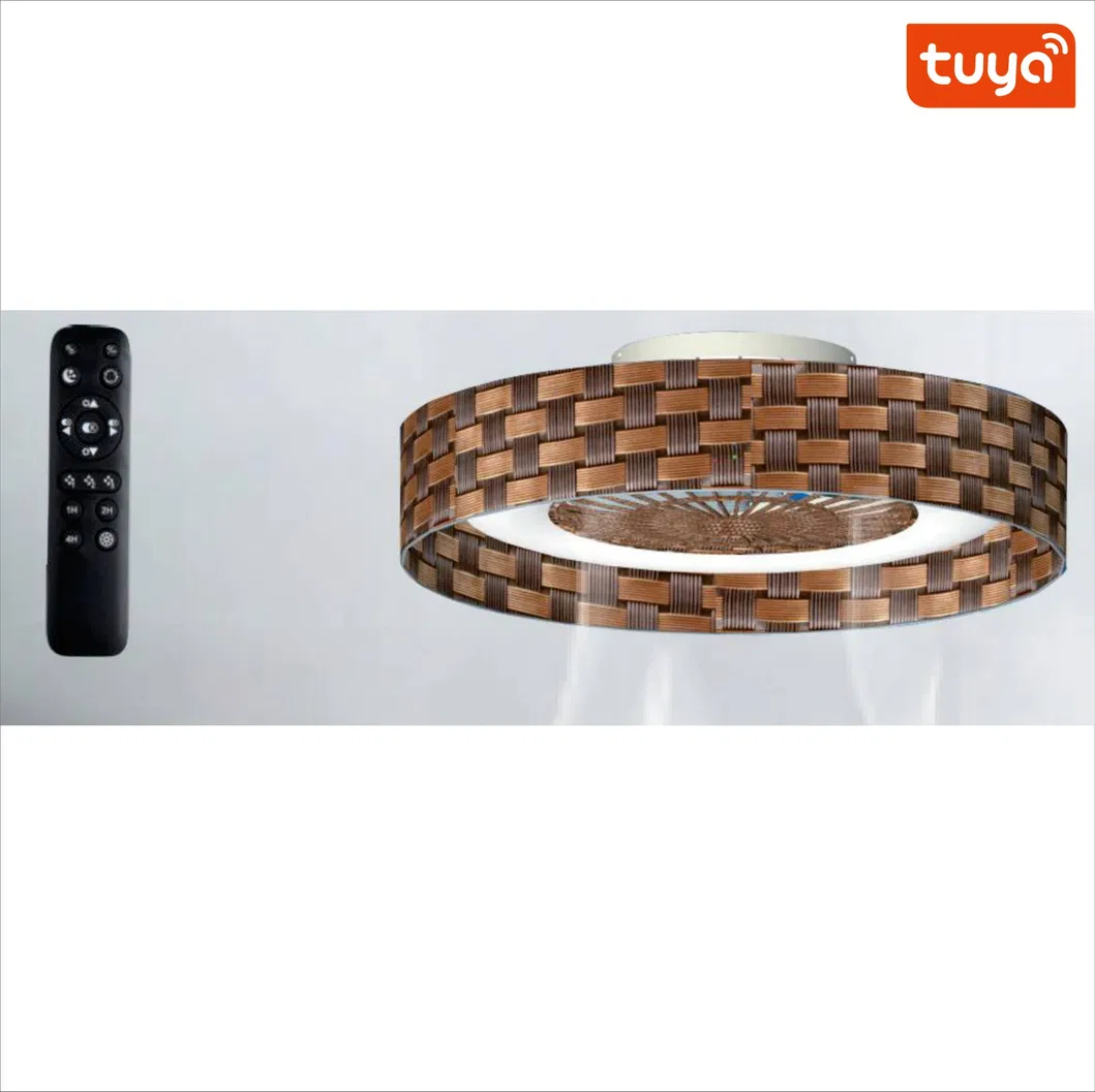 Ceiling Fan Lamp Detail 2