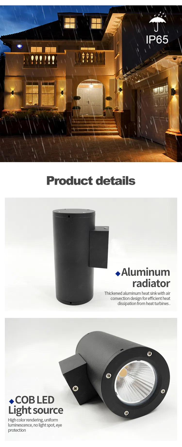 LED Wall Light Detail