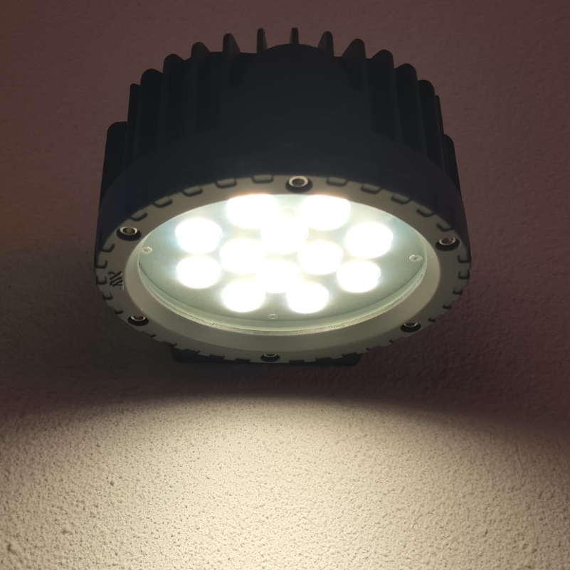 Wholesale Exterior Wall Lamp Outdoor Lamp Waterproof 2700K 36W Aluminum Round