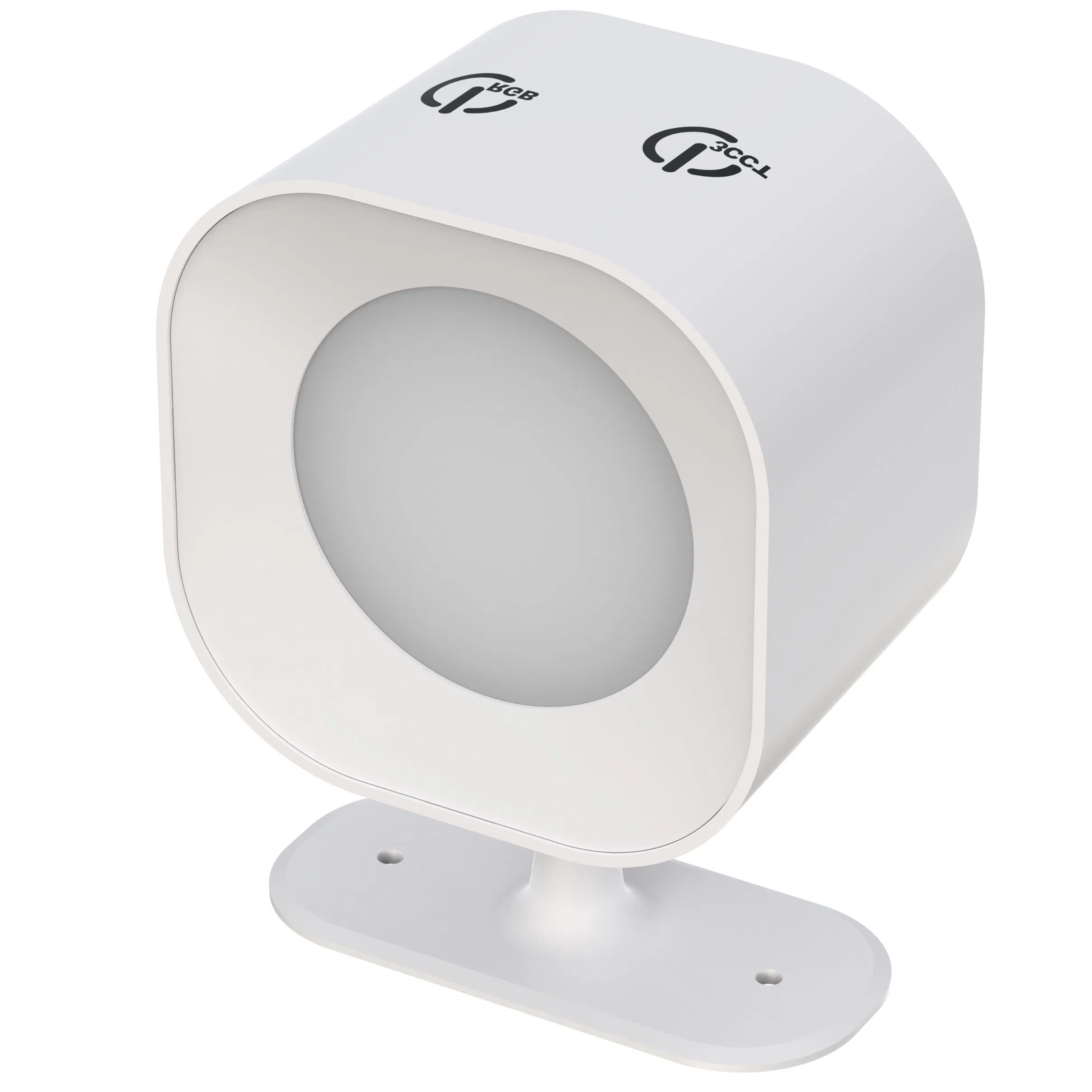 RGB+Cw Magnetic Rotating Lamp Head Rechargeable Wall Lamp