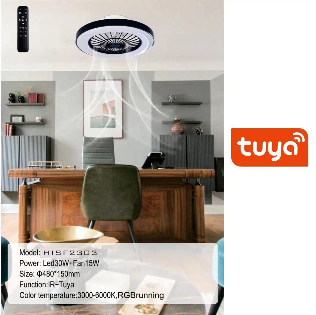 Ceiling Fan Lamp Detail 2