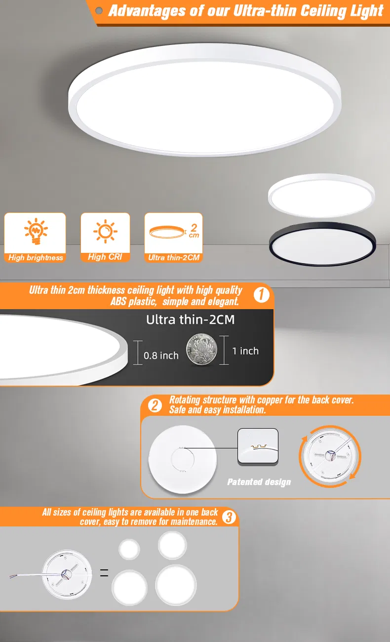 LED Ceiling Light View 2