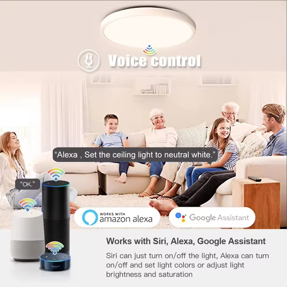 Smart LED Ceiling Lights Rgbcw Color Changing Ceiling Light Compatible with Alexa Google Home Flush Mount Ceiling Lamp 24W Time Scheduler Dimmable