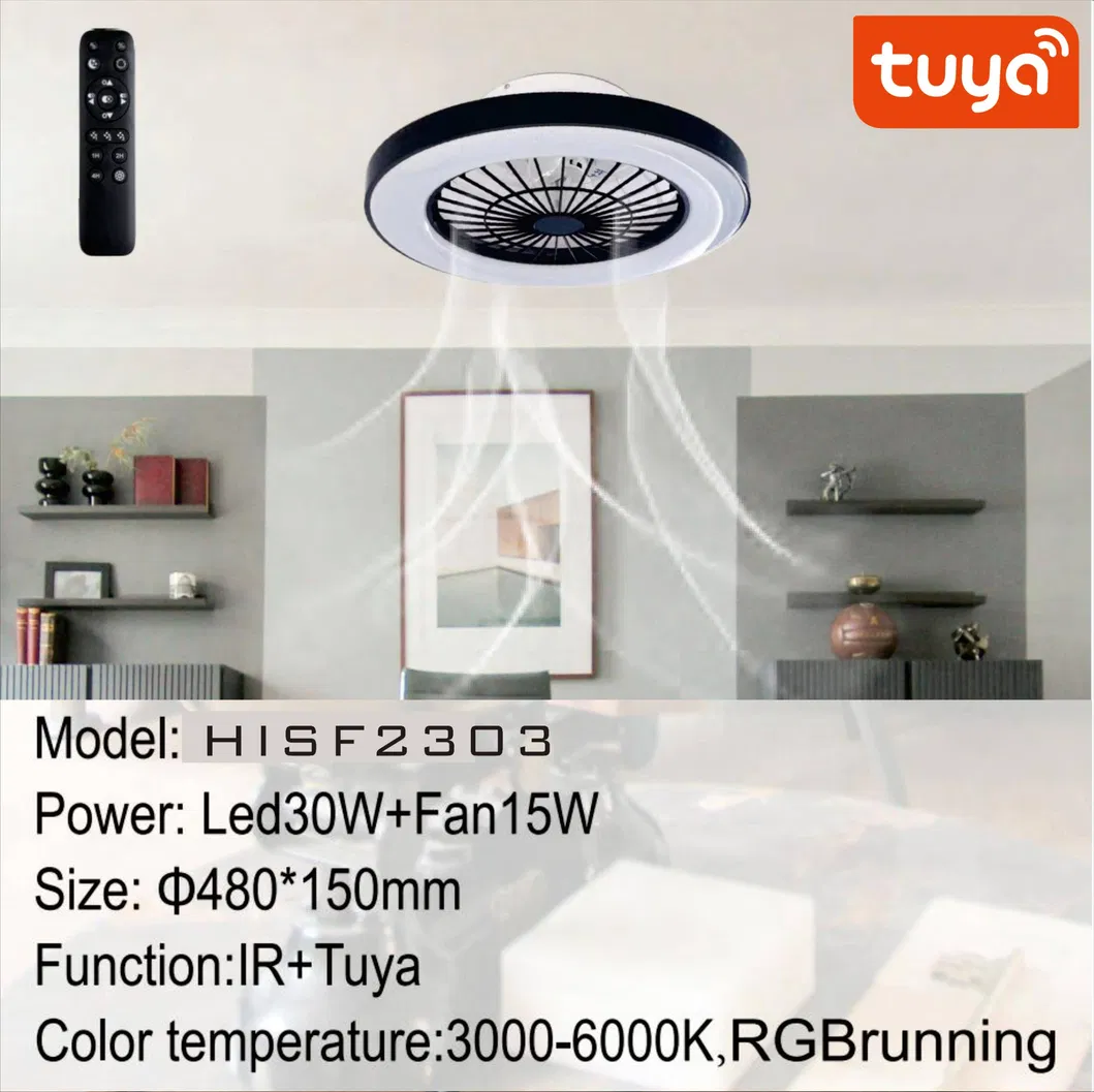 Ceiling Fan Lamp View 2