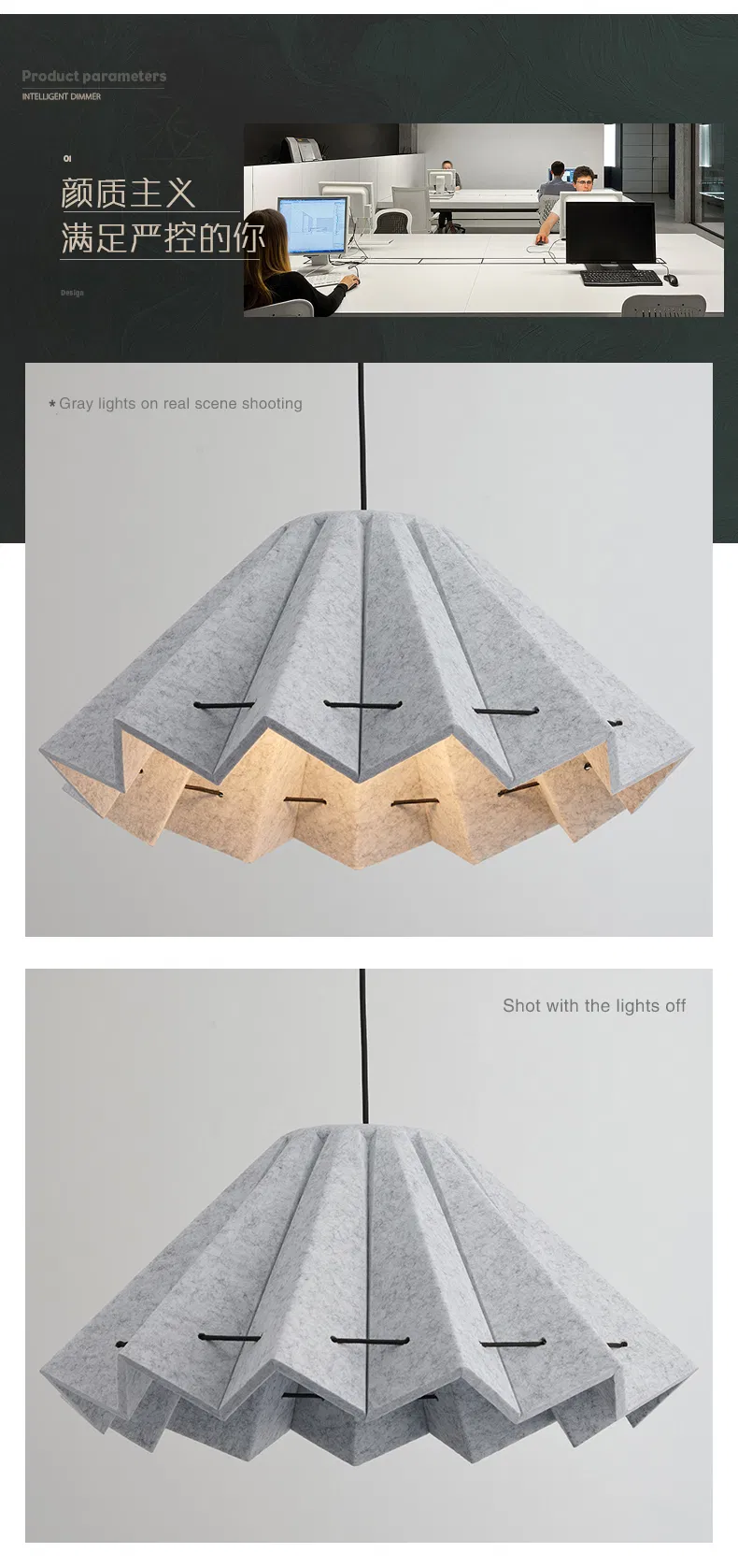 Acoustic Lamp Detail 8