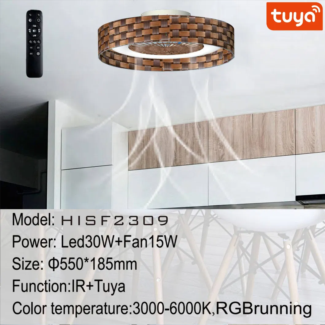 Ceiling Fan Lamp View 1