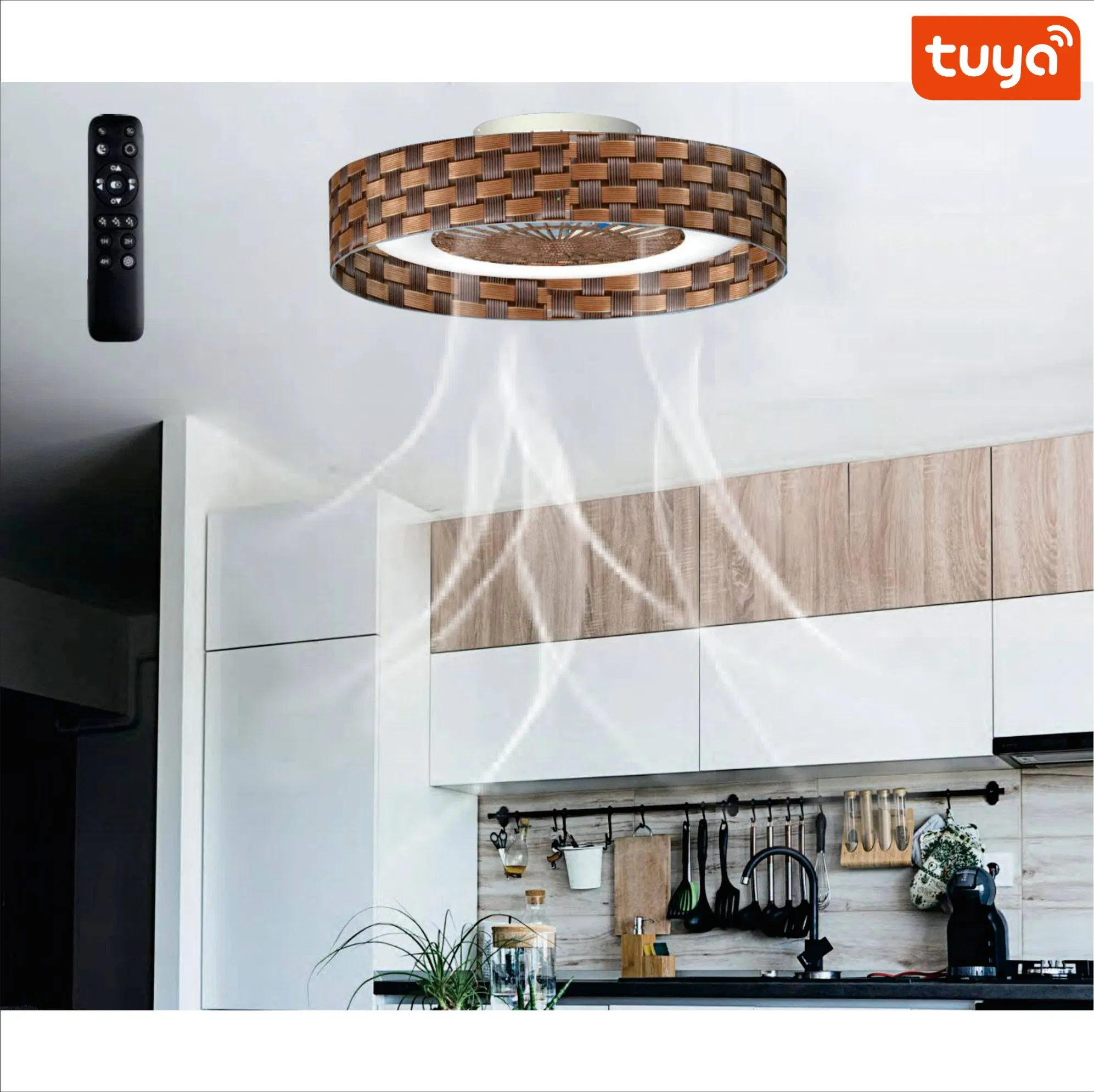 Stylish Design Cool 3 Step Speed Home Decoration LED Ceiling Fan Lamp