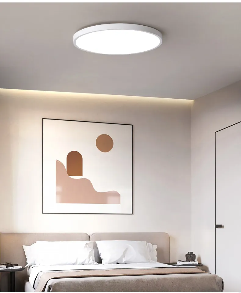 LED Ceiling Light View 1