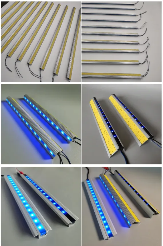 Hot Selling Bus Light