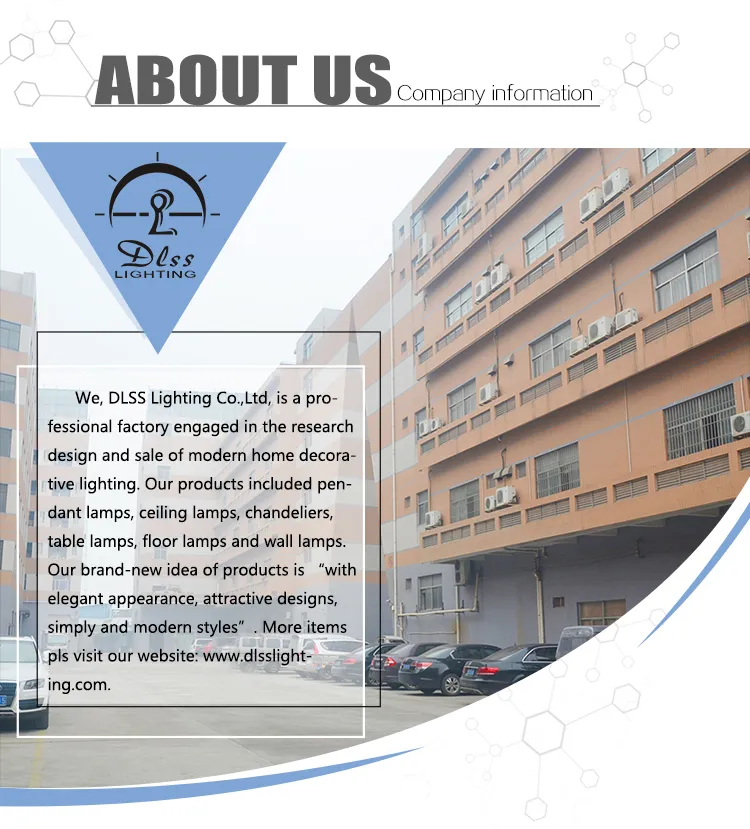 Ceiling Light Details