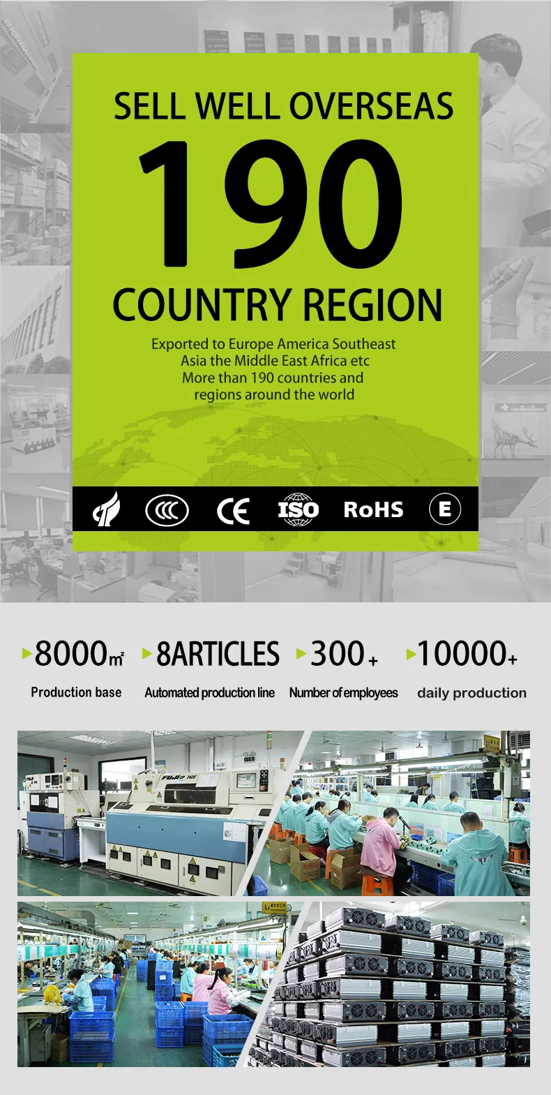 Emergency Power Inverter