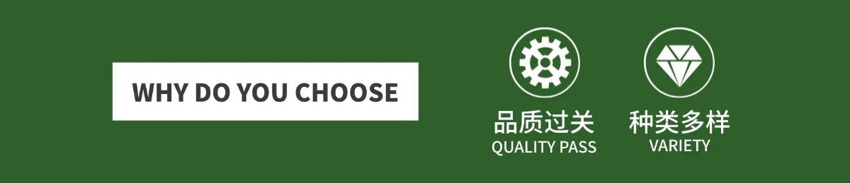 Solar Inverter View 2