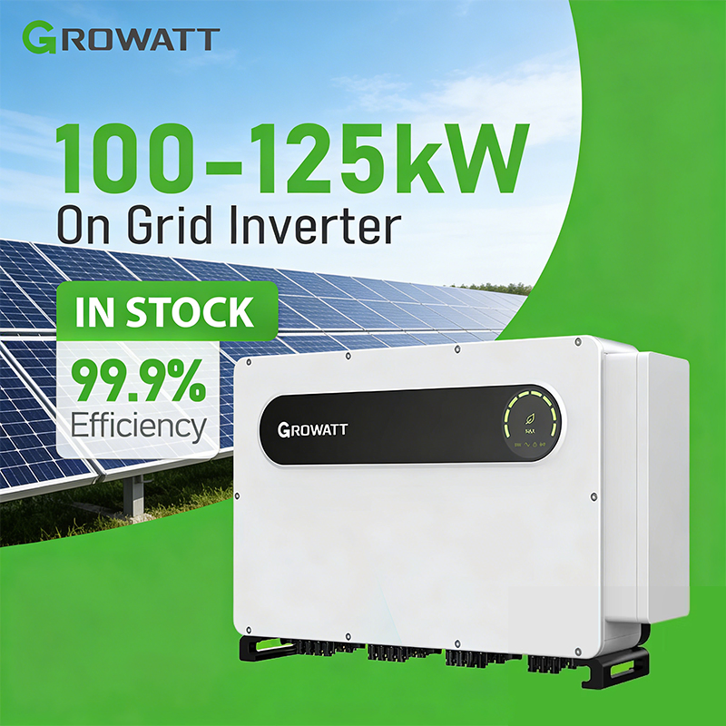 Growatt MPPT Commercial Solar Inverter 100kw 110kw 120kw 125kw 150kw on Grid IP66 3 Phase Solar String Inverters for Solar Panel