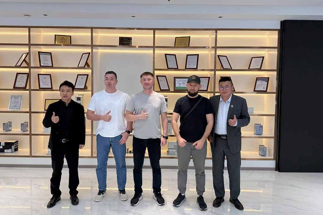 ABB Brand Compact 1.5kw 24V High Frequency Power Inverter for Easy Installation