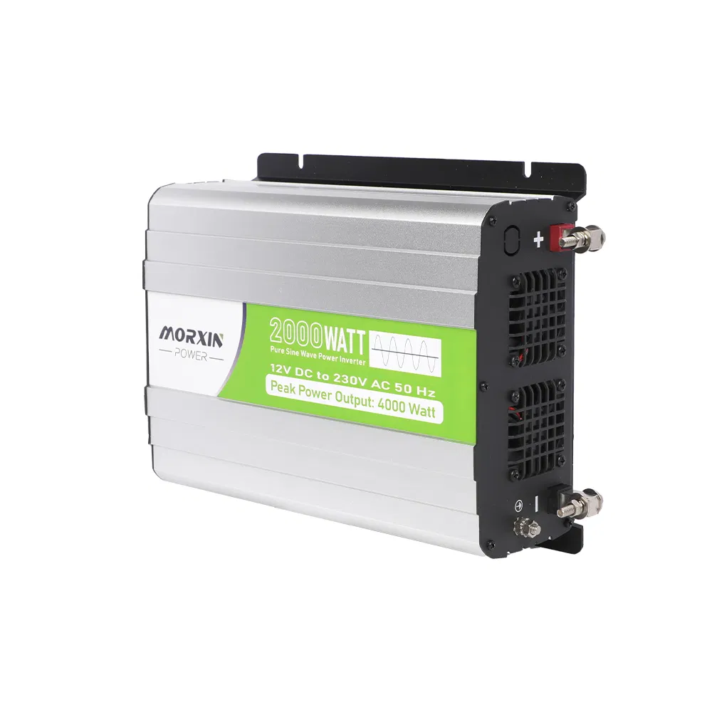 2000W 12V/24V RV Portable Customized Truck Pure Sine Wave Car Power Inverter