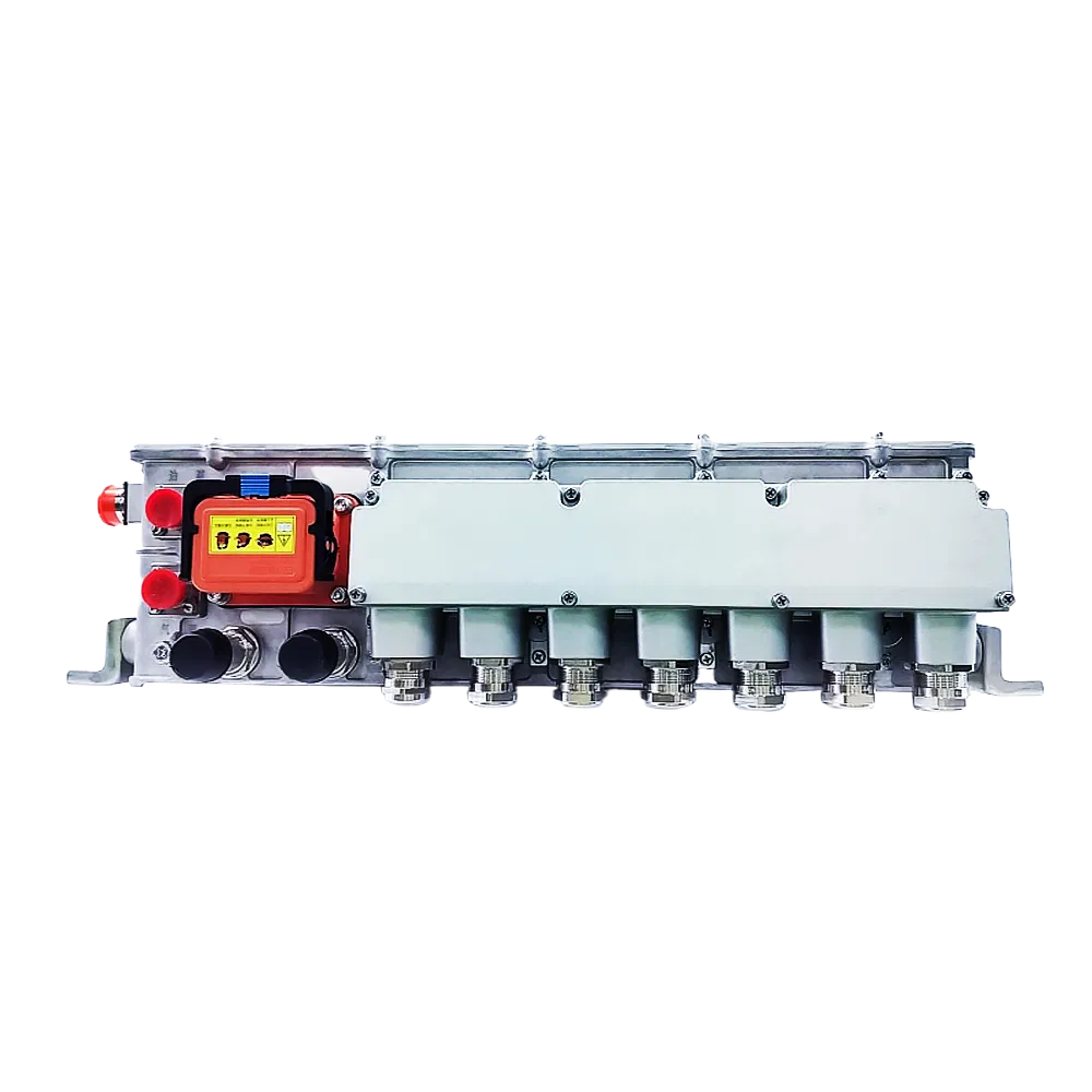 High Voltage 3.3kw 6kw Obc Dcdc 2 in 1 Electric Car Lithium Lon Golf Charger on Board Battery