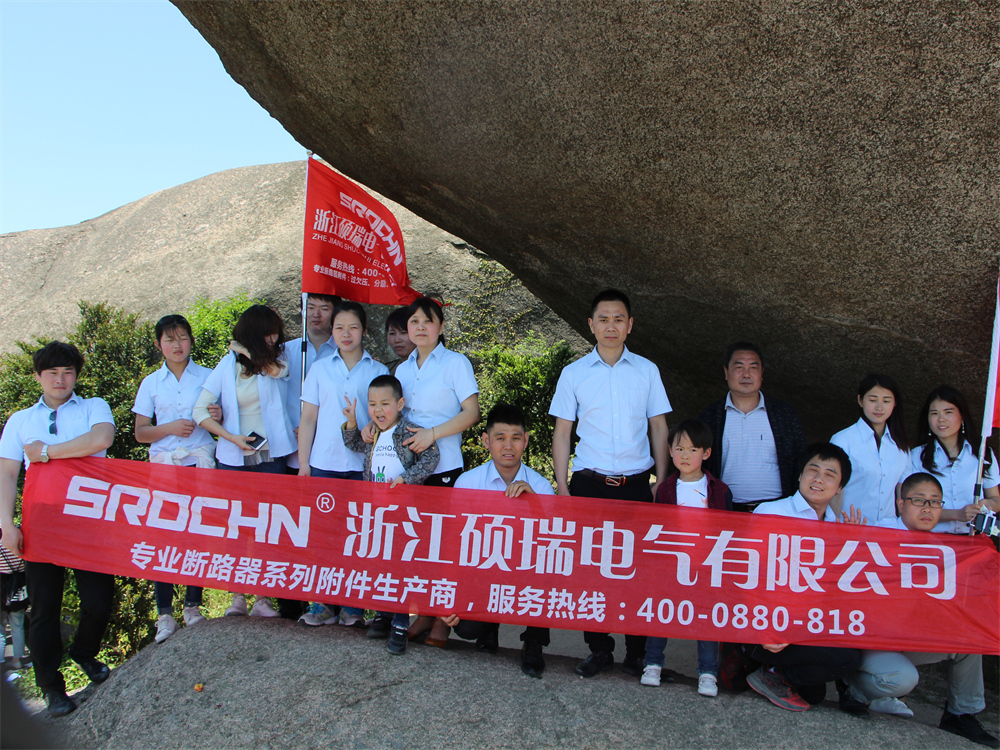 Shuorui Electric team — technical support and after-sales service
