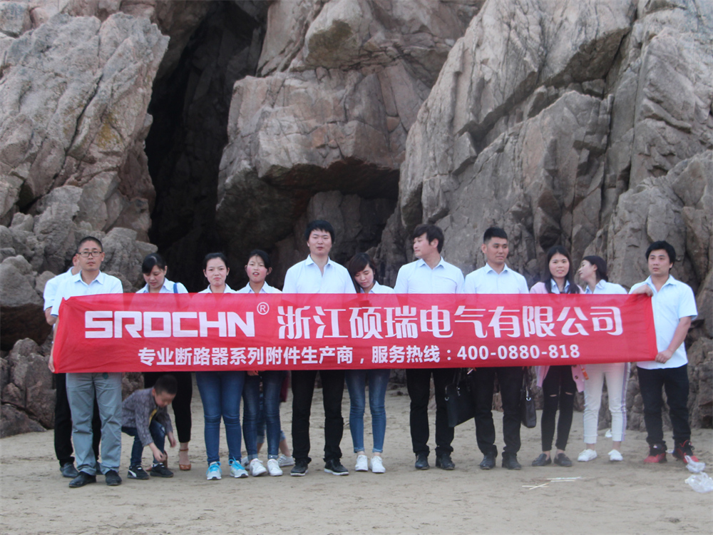 Shuorui Electric team — engineering and R&D department staff