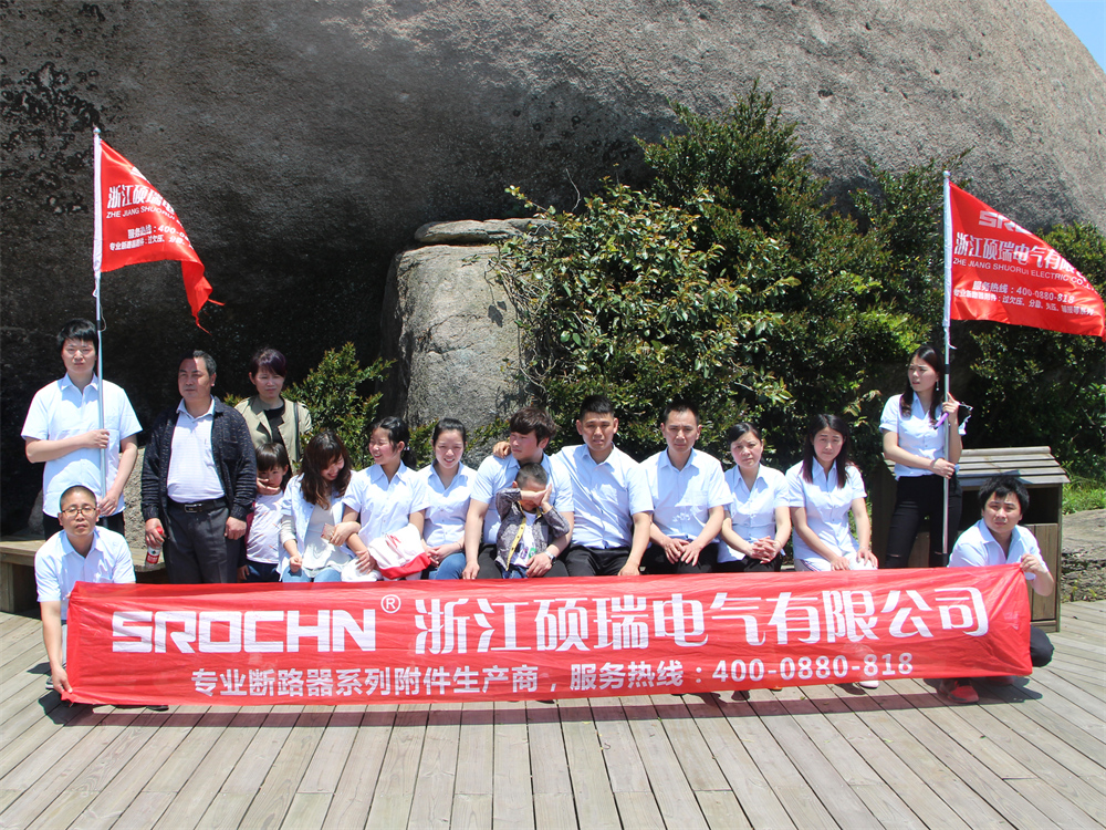 Shuorui Electric team — production management and operations
