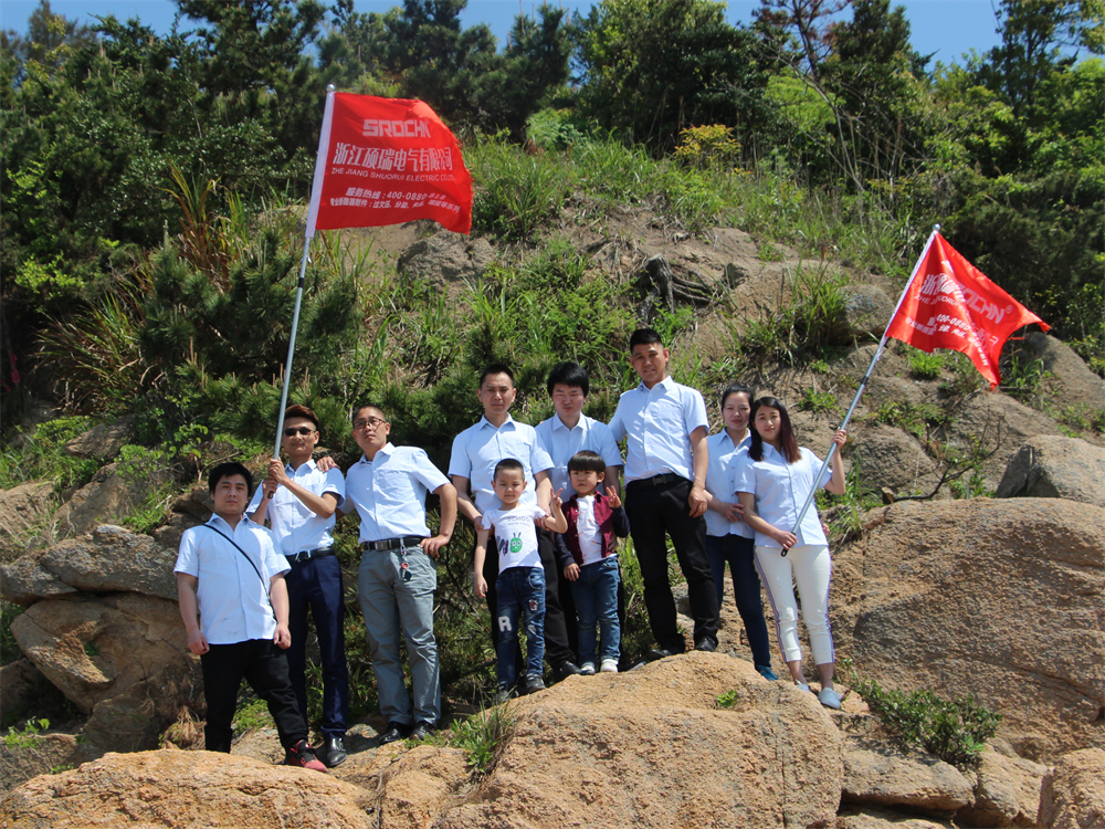 Shuorui Electric team — quality assurance and inspection specialists