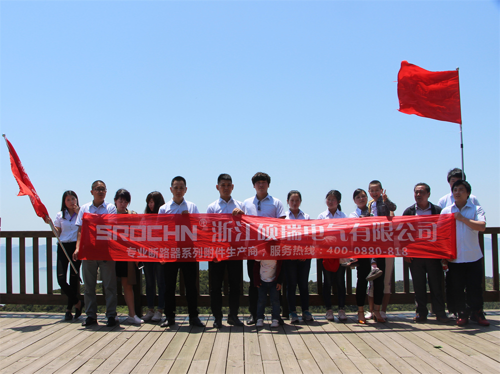 Shuorui Electric team — sales and customer service professionals