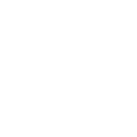 Automotive industry icon